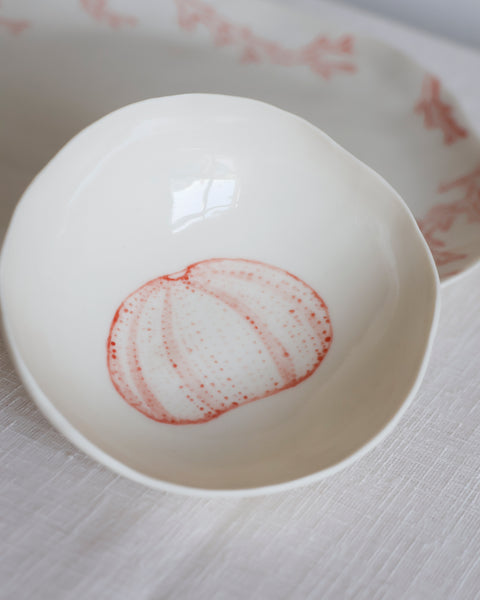 piatto e ciotola corallo | coral plate and bowl